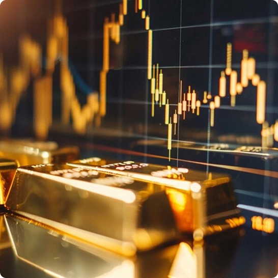 Investment portfolio